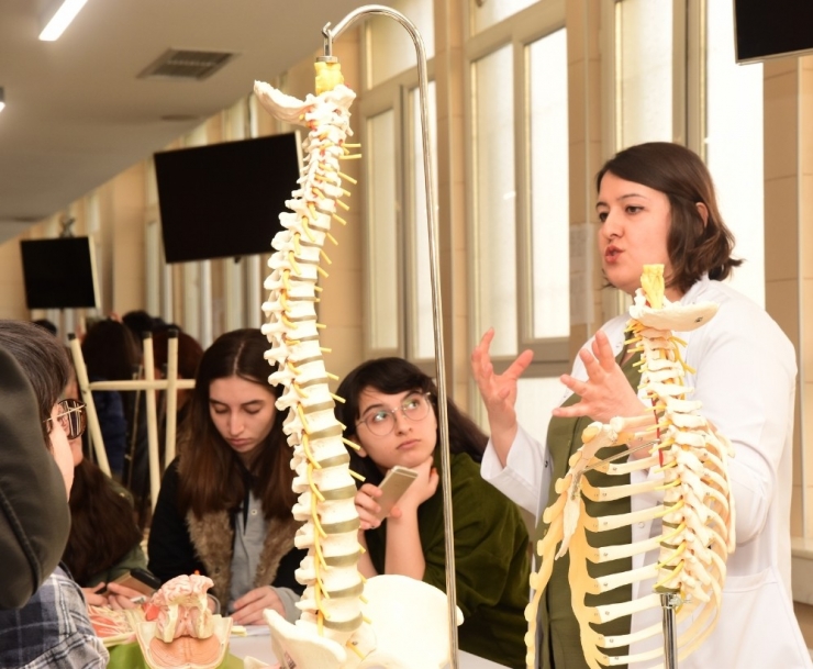 Esogü’de Beyin Farkındalığı Haftası 2019 Etkinlikleri