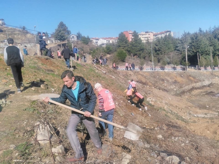 Simav’da Fidan Dikim Etkinliği