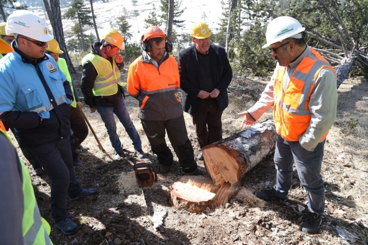 Mihalıççık Ormanlarında Üretim Tatbikatı Yapıldı