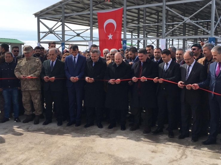 Sanayi Ve Teknoloji Bakanı Varank, Canlı Hayvan Pazarı’nın Açılışını Gerçekleştirdi