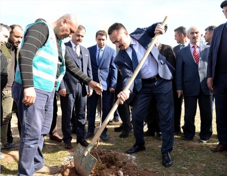 Bilecik’in Köyleri Fidanlarla Renklenecek