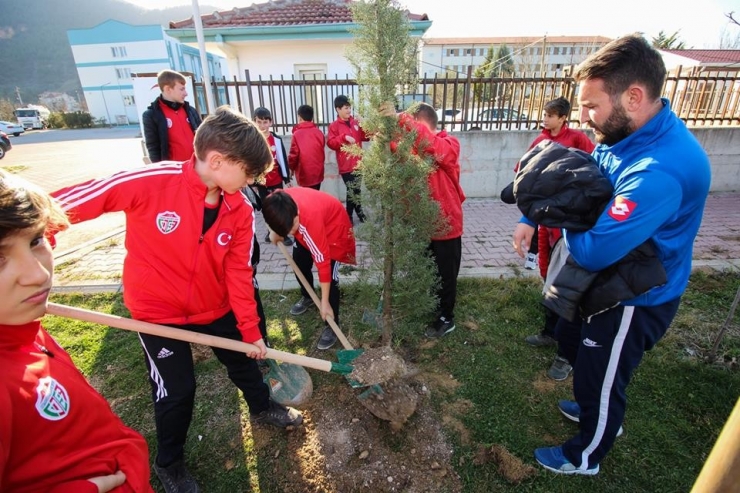 Sporculardan Ağaç Dikimine Destek