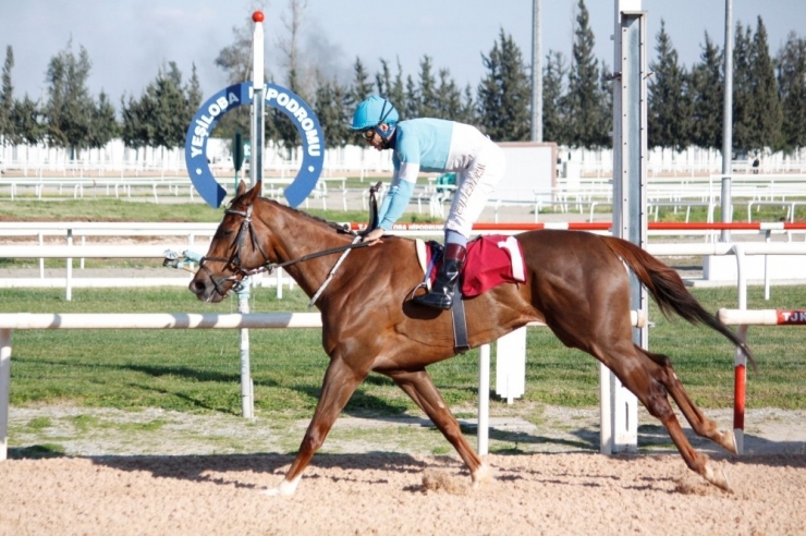 Tsyd Kupası "Hazeleyes"in