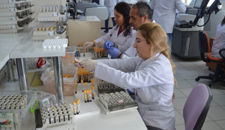 Kayseri Aile Hekimliği Sisteminde Yapılan Laboratuvar Tahlil Sonuçları Türkiye’de İlk Kez Uygulanan Bir Çalışma İle Artık Cepte