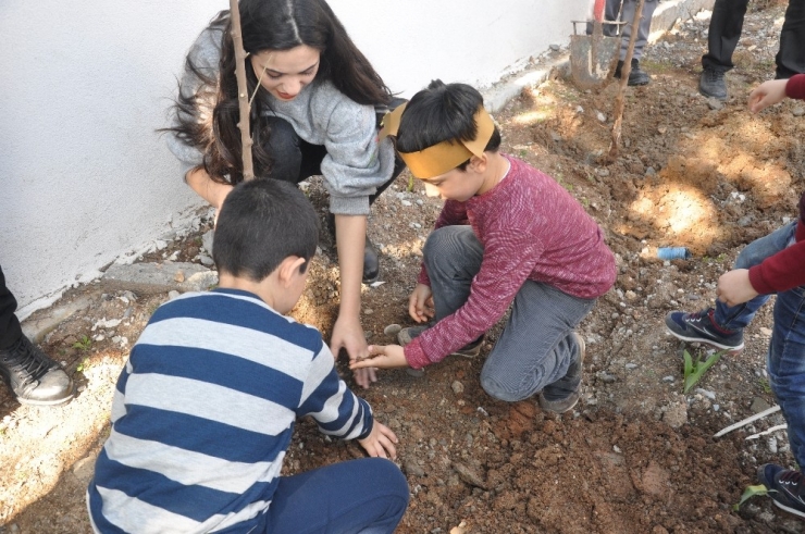 Siirt’te Anaokulu Öğrencileri Dicle Elektrik Bahçesine Fidan Dikti
