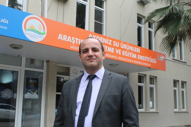 Türkiye’de İlk Kez Yılan Balığından Yapay Yolla Yavru Alındı