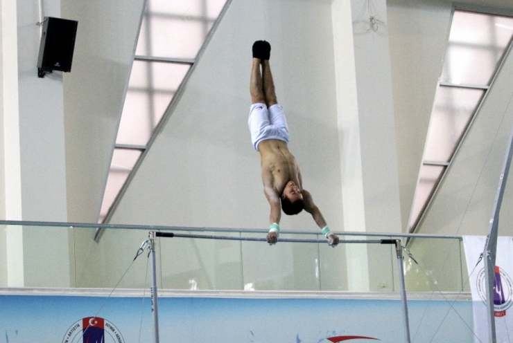 Artistik Cimnastik Büyük Erkekler Milli Takımı, Tarihte Bir İlki Başarmak İstiyor