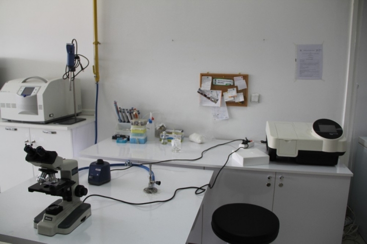 Hitit’in, Moleküler Biyoloji Ve Genetik Doktora Programına Yök’ten Onay