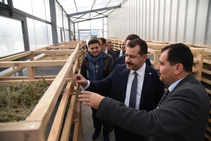 Yılmaz, "Tarım Ve Hayvancılık Master Planı Balıkesir’e Büyük Kazanç"