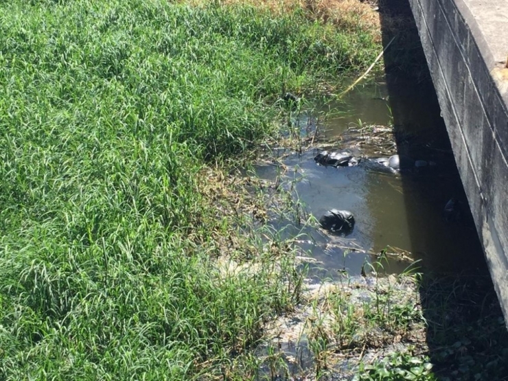 Meksika’da Siyah Poşetler İçinde 19 Ceset Bulundu