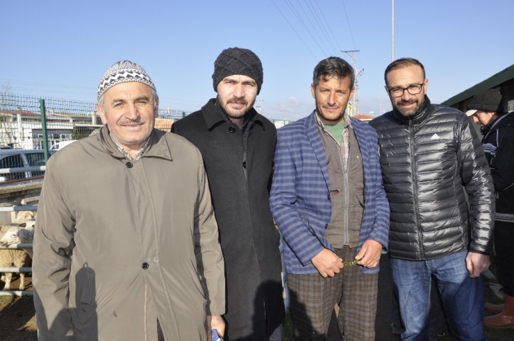 Başkan Bozkurt Büyükbaş Ve Küçükbaş Hayvan Pazarını Ziyaret Etti