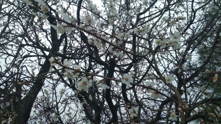 Kozluklular İki Mevsimi Bir Arada Yaşıyor