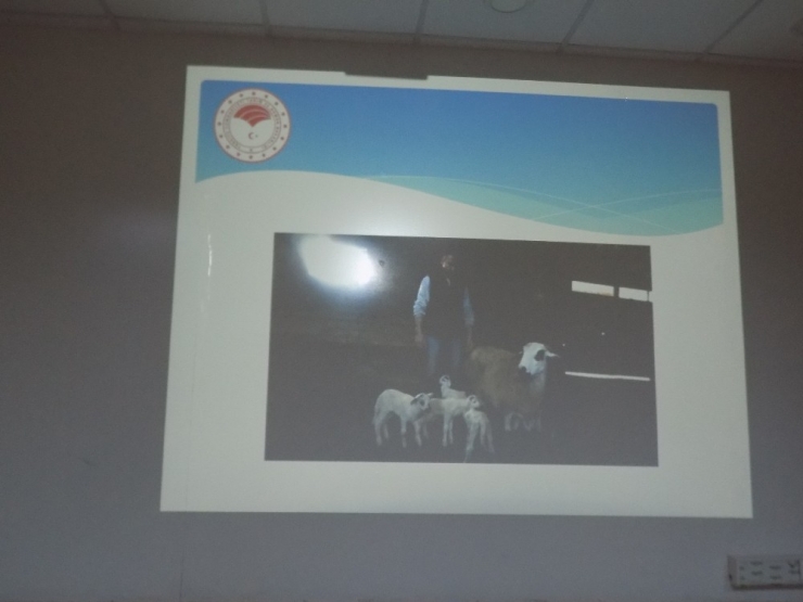 Bu Kursta ’Diplomalı’ Çobanlar Yetişiyor