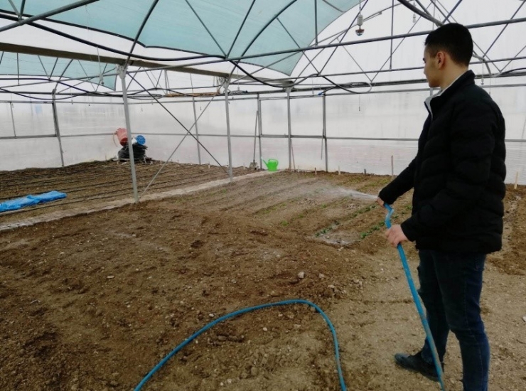 Okulda Sebze Yetiştiriyorlar