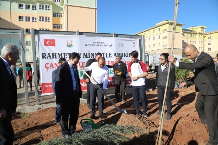 Şehitler Anısına Fidan Diktiler