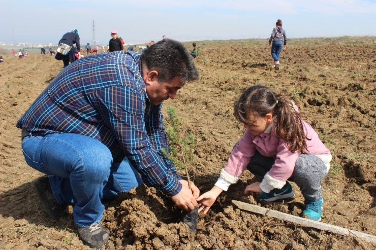 Minik Fidanlar Toprakla Buluştu