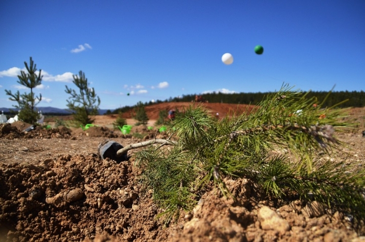 180 Fidan 180 Öğrencinin Eliyle Toprağa Dikildi