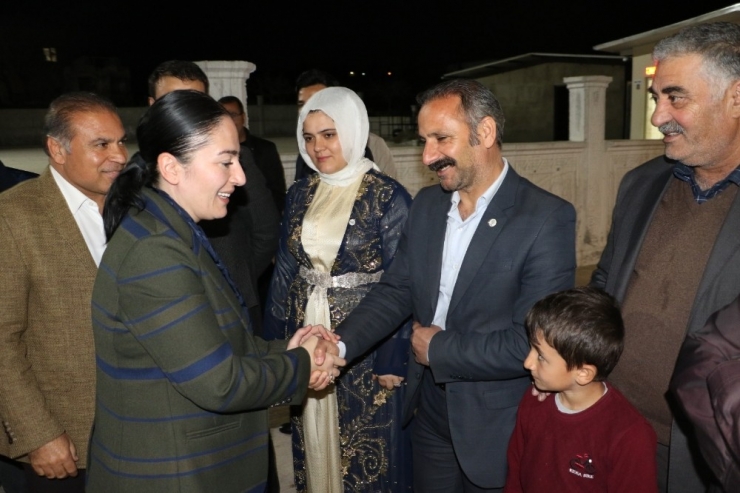 Aslan, ‘Karanlıkköprü’ Olmayacak