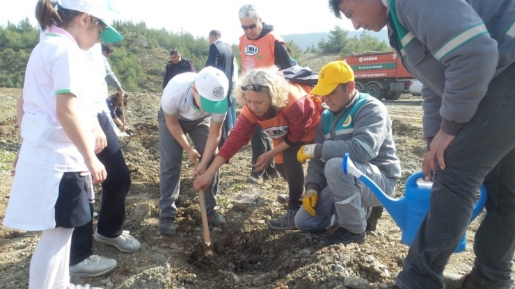 Marmaris’te Dünya Ormancılık Günü Ve Orman Haftası Etkinlikleri