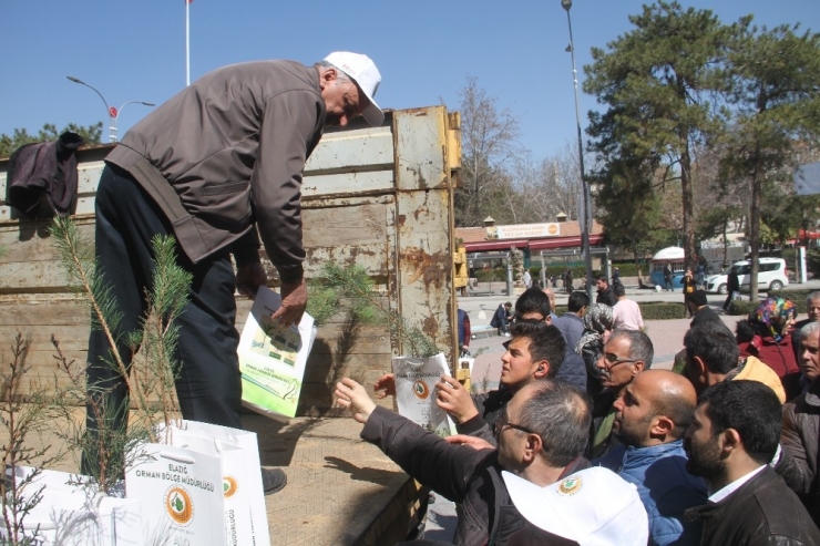 Elazığ’da 2 Bin 250 Fidan Dağıtıldı