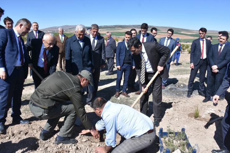 Mahkumlar ‘Adalet Ormanı’ İçin Fidan Dikti