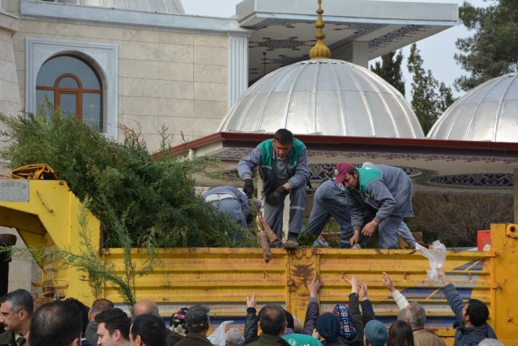 Korkuteli’nde Vatandaşlara Ücretsiz 10 Bin Adet Fidan Dağıtıldı