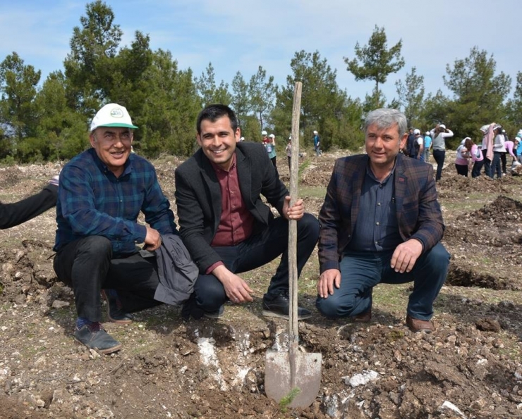 Selendi’de Ak Parti, Chp Ve Mhp’li Başkanlardan ’Dostluk Fidanı’