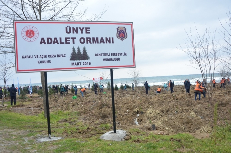 Adalet Çalışanlarından "Adalet Ormanı"