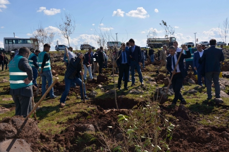 Siverek’te ‘Adalet Ormanı’ Oluşturuldu