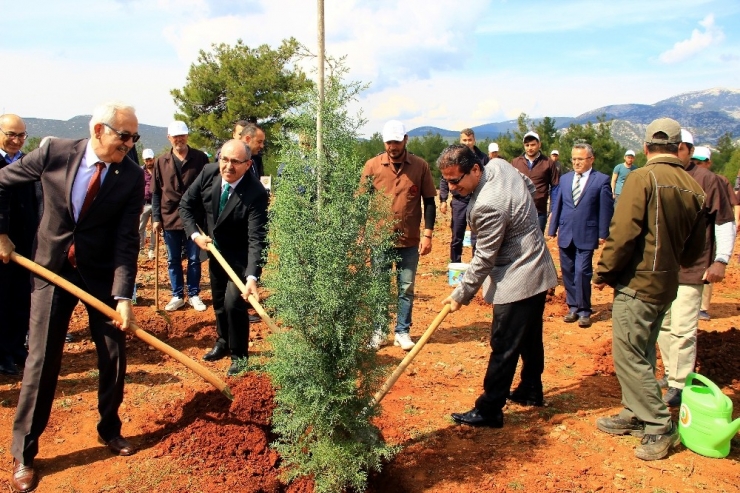’Adalet Ormanı’ Fidanlarla Buluştu