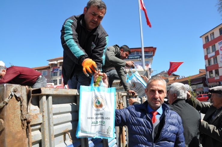 Simav’da Vatandaşlara 2 Bin 500 Adet Fidan Dağıtıldı