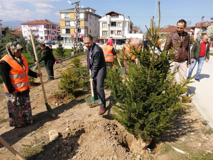 Sağlıklı Hayat Merkezinin Bahçesinde Fidan Dikildi