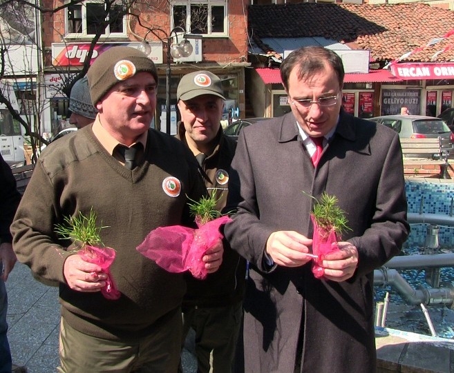 Üniversite Öğrencileri Fidan Dikti