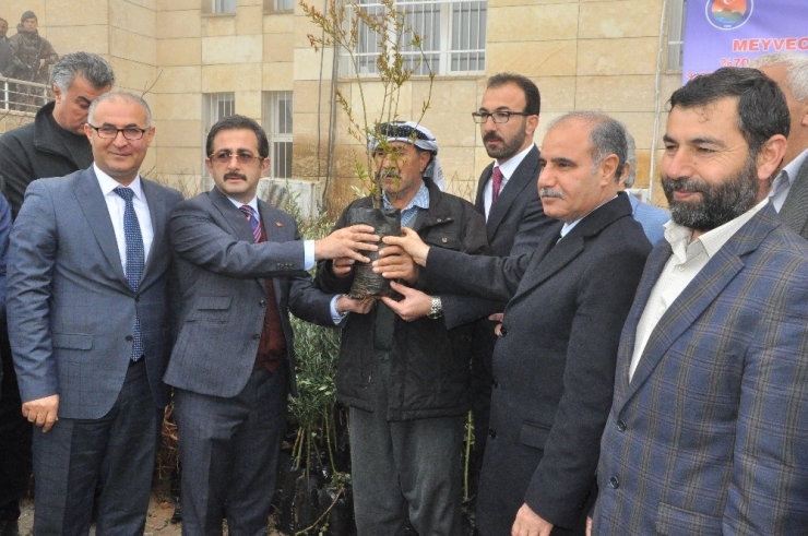 Tarım Ve Orman Bakan Yardımcısı Aksu: “Şırnak’ı Bir Hayvancılık Merkezi Haline Getireceğiz”