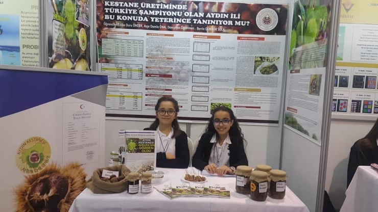 Kestane Konulu Projeleri İle Finale Kaldılar