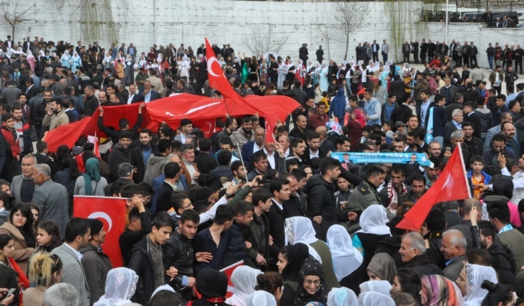 Şırnaklılar Seçimi Ak Partili Adayın Kazanmasını Halaylarla Kutladı