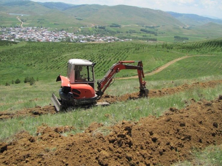 Orman Alanlarımız Artıyor