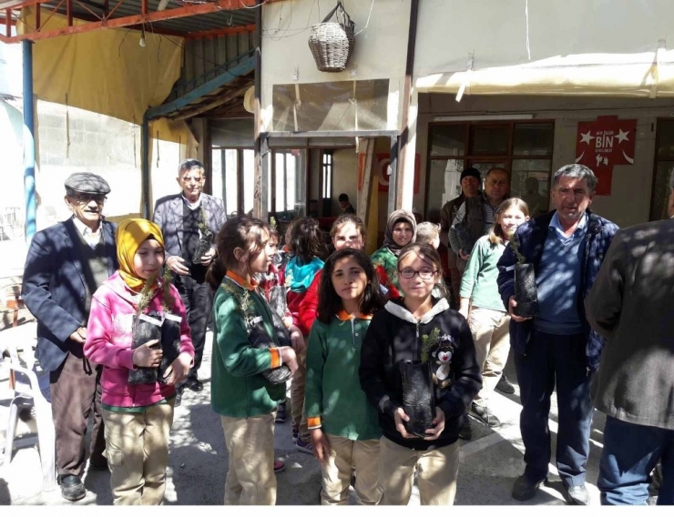 Öğrenciler Ve Öğretmeler Kapı Kapı Gezerek Fidan Dağıttı