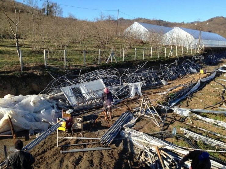 Kesme Çiçek Seraları Üreticileri Destek Bekliyor