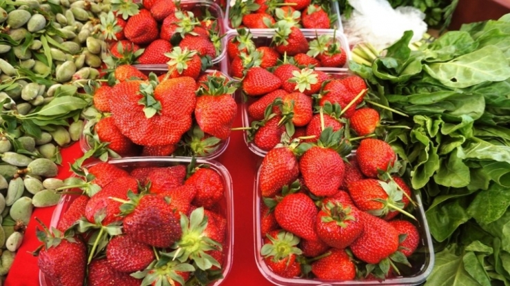 Devasa Çilek Görenleri Şaşırttı