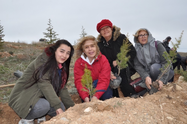 Ceyhun Yeltekin Arısoy’un İsmi Dikilen Fidanlarla Yaşatılacak