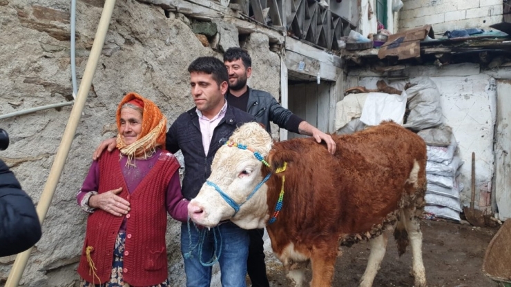 Bir İstedi, Beş İneği Oldu