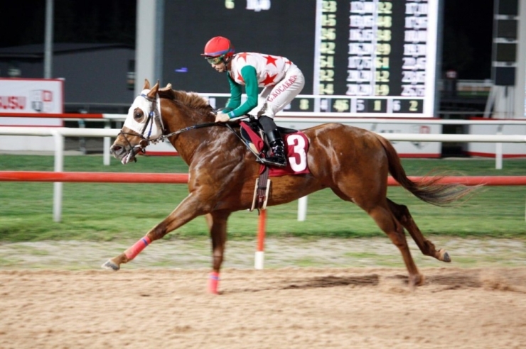 Çgc Kupası Babafırat’ın