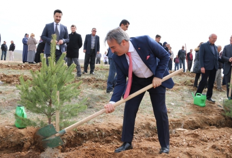 Rektör Bağlı Şehit Polis Memuru Semih Turgut Anısına Fidan Dikti