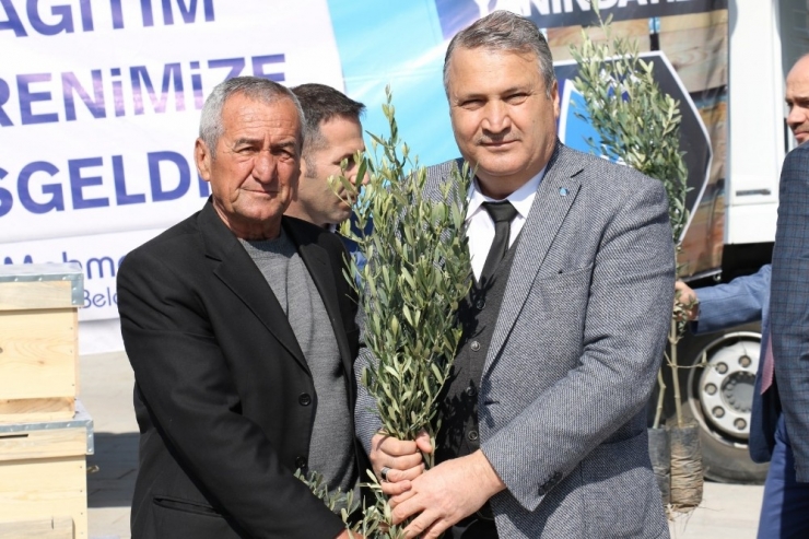 Yunusemre’de Fidan Dağıtımları Tamamlandı