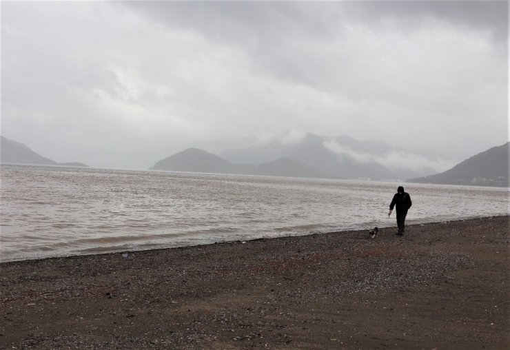 Sahile Gidenler Şaşkına Döndü