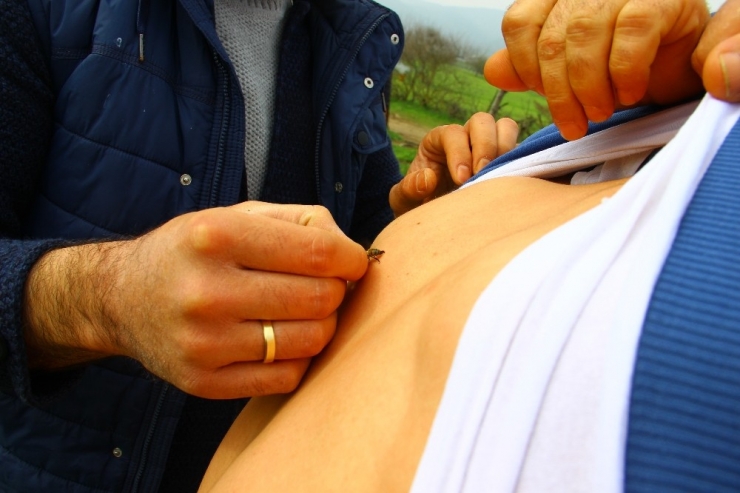 Böyle Tedavi Yöntemi Görülmedi