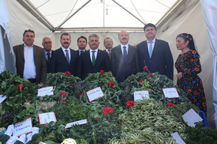 Ayvalık’ta 2. Doğa Festivali Başladı