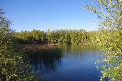 Isubü’lü Öğrenciler Göl Temizliği Yapacak