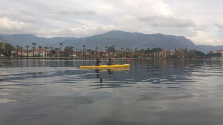 Deniz Kaplumbağalarının Korunmasına Dikkat Çekmek İçin 25 Bin Metre Kürek Çekecekler
